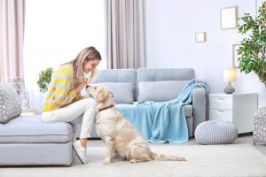 Questions to Ask When House-Hunting with Pets